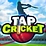 Tap Cricket